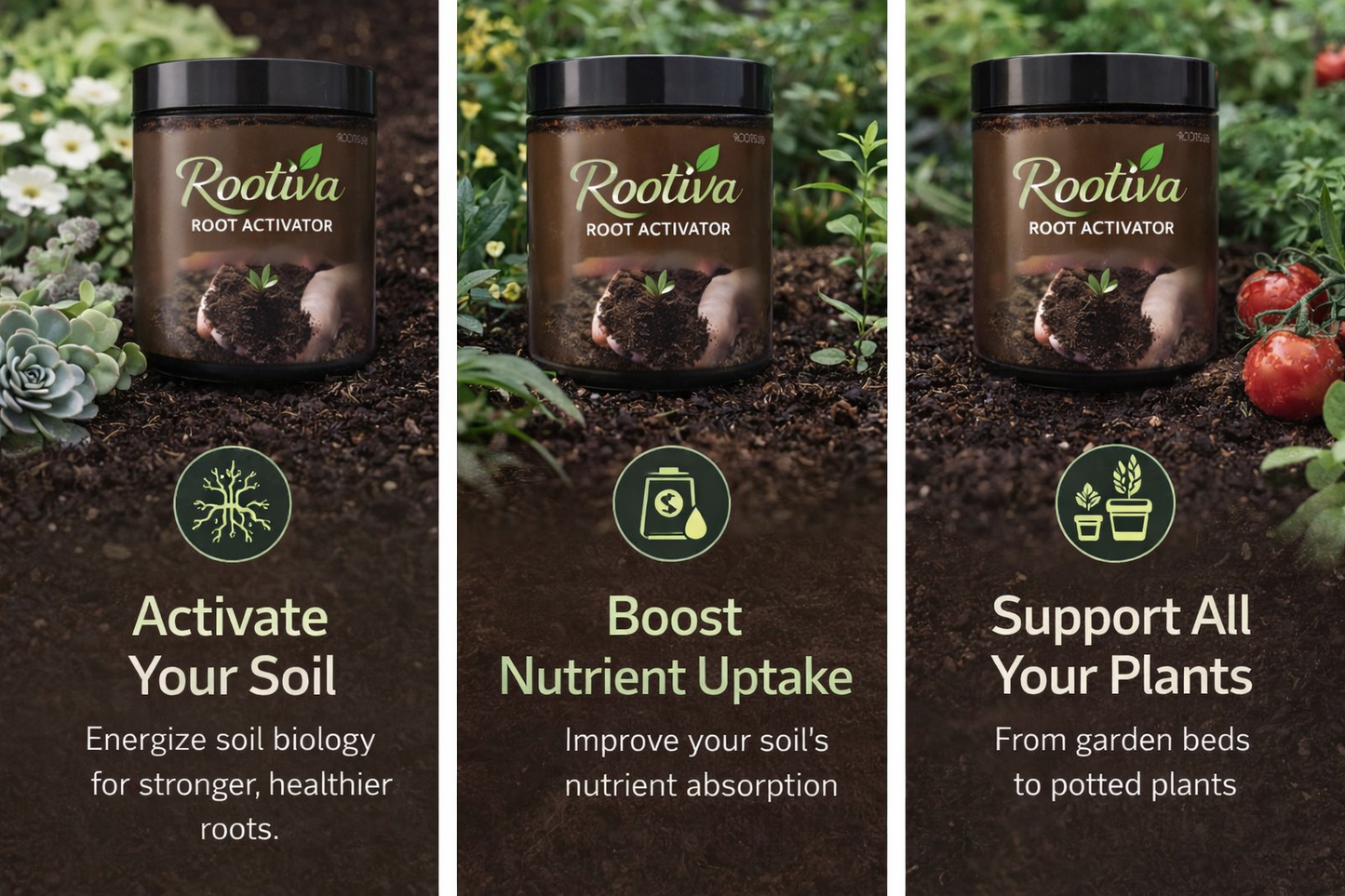 Rootiva - Soil Activated Treasure – Premium Soil Activator (Pack of 2, 400g)
